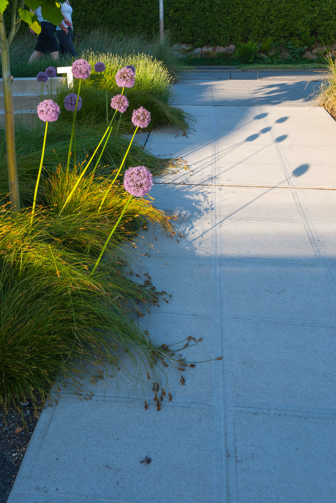 Mittelgroßer Moderner Garten mit direkter Sonneneinstrahlung und Betonboden in Seattle
