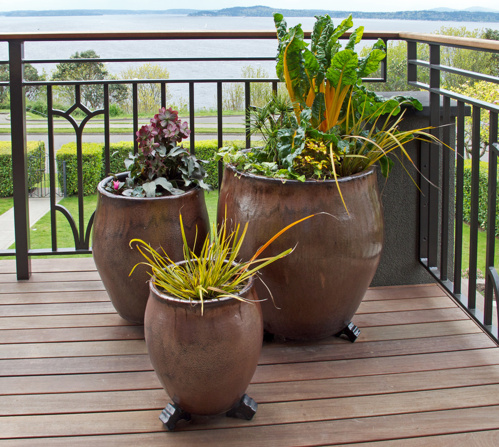 Idee per un piccolo giardino tradizionale esposto in pieno sole dietro casa con un giardino in vaso e pedane