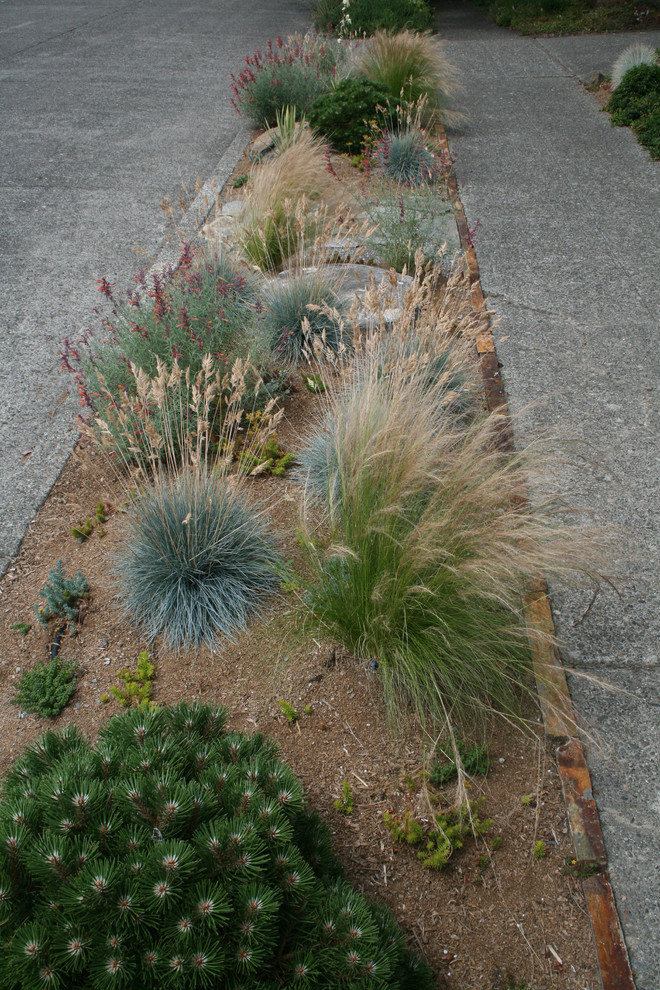 Photo of an urban garden in Seattle.