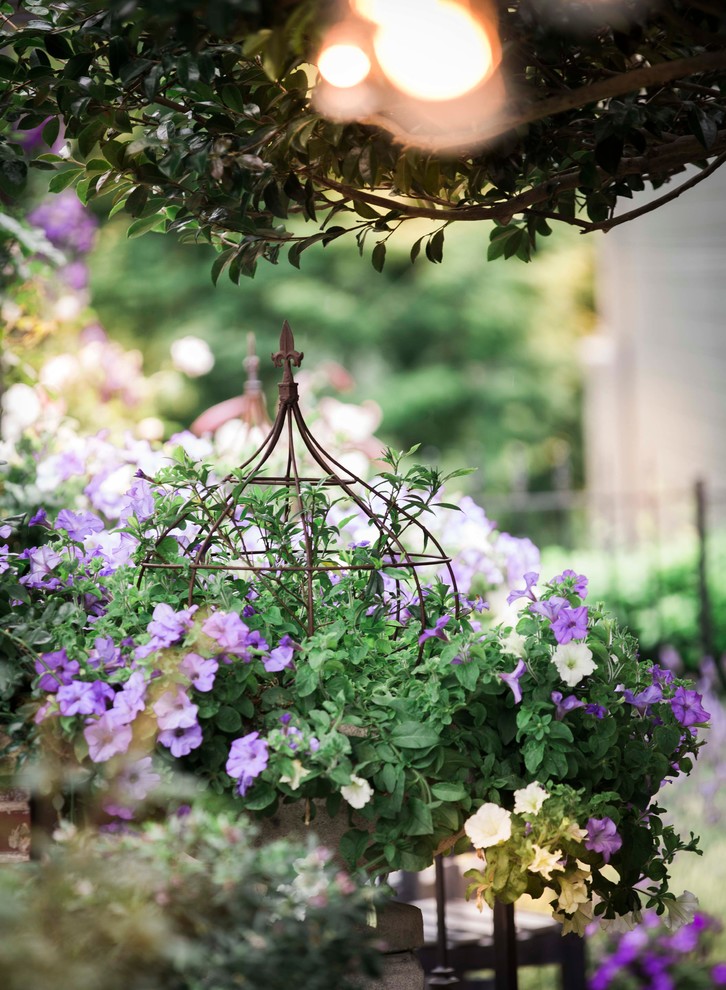 Foto di un grande giardino formale tradizionale esposto a mezz'ombra dietro casa con un giardino in vaso