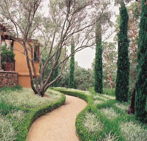 Inspiration for a traditional garden in San Francisco.