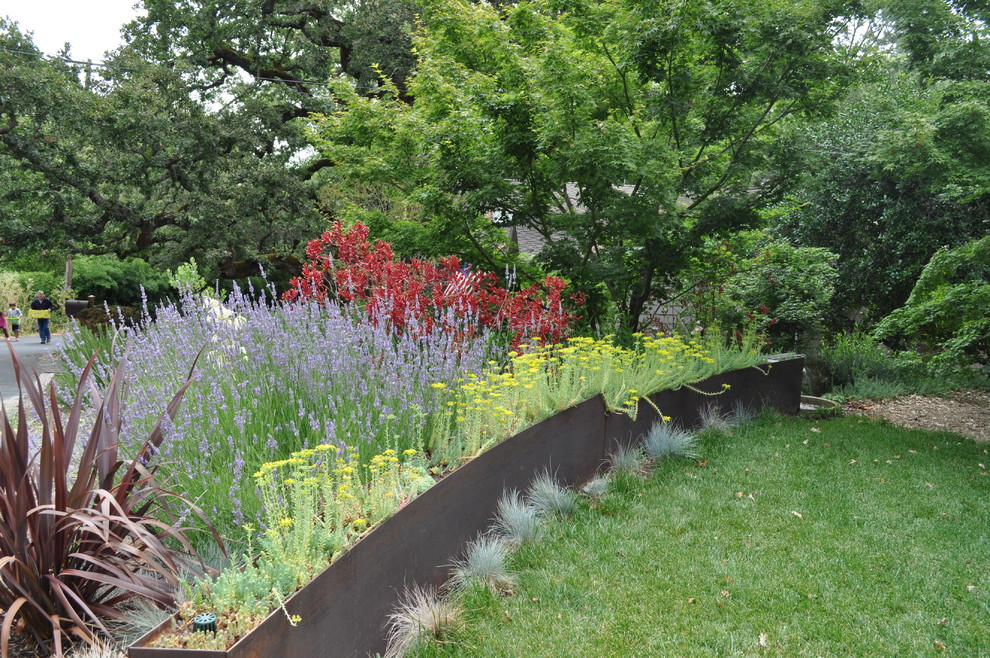 This is an example of a contemporary backyard landscaping in San Francisco for summer.