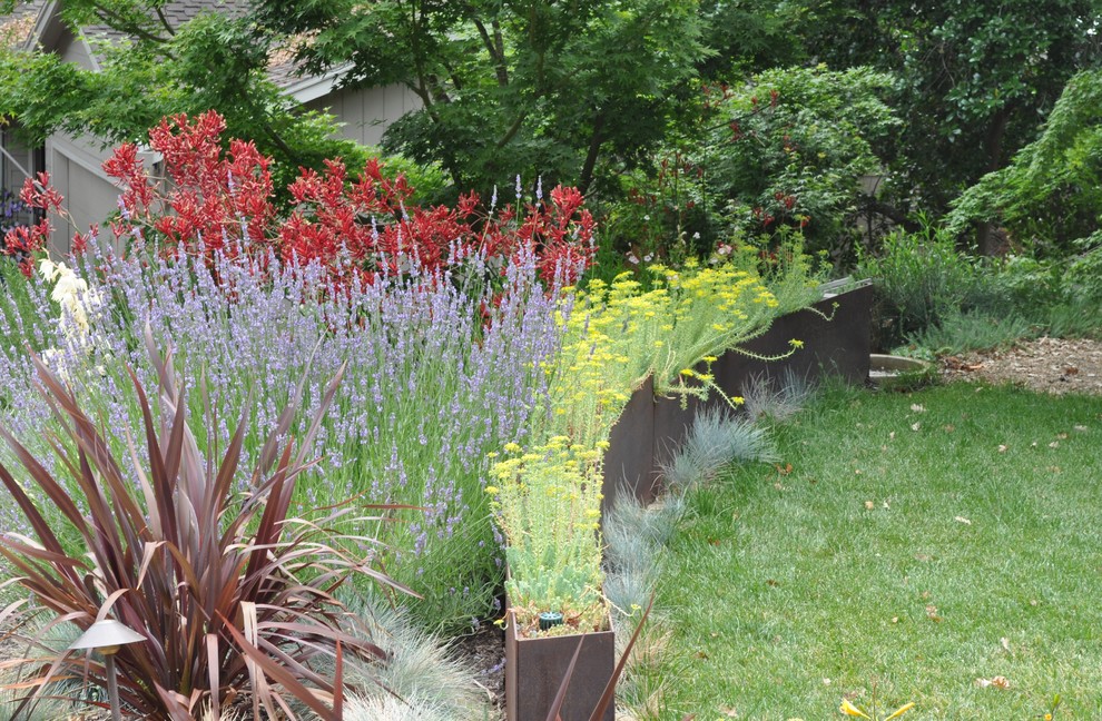 Foto di un giardino minimal dietro casa con un giardino in vaso