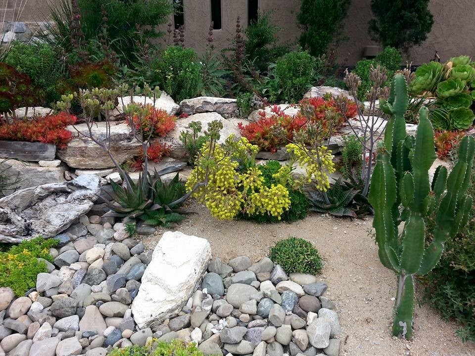 Inspiration for a medium sized mediterranean front xeriscape full sun garden for spring in Other with a retaining wall and natural stone paving.