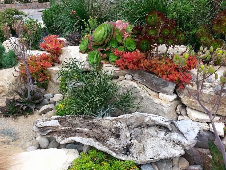 Imagen de jardín de secano mediterráneo de tamaño medio en verano en patio delantero con muro de contención, exposición total al sol y adoquines de piedra natural