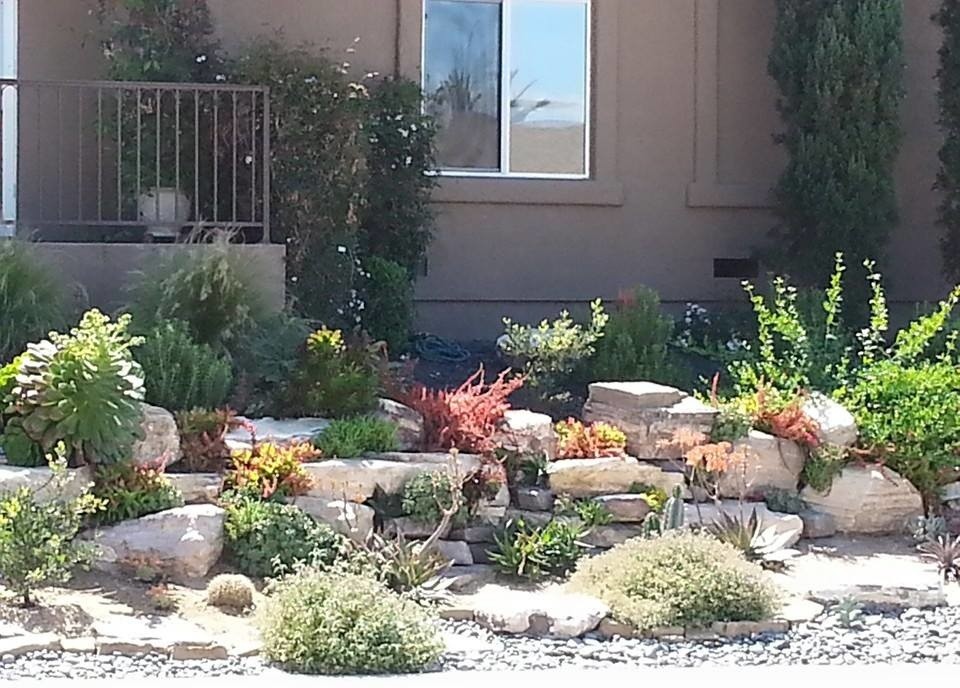 На фото: солнечный, летний засухоустойчивый сад среднего размера на переднем дворе в средиземноморском стиле с подпорной стенкой, хорошей освещенностью и покрытием из каменной брусчатки с