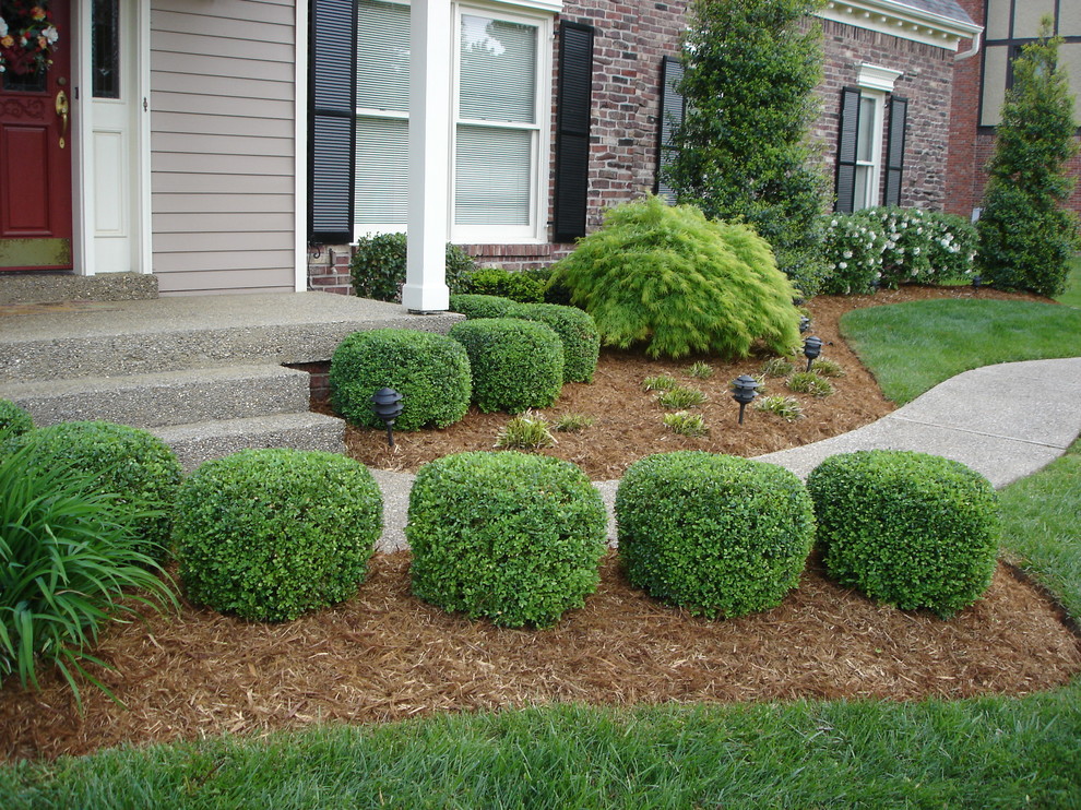 Design ideas for a traditional landscaping in Louisville.