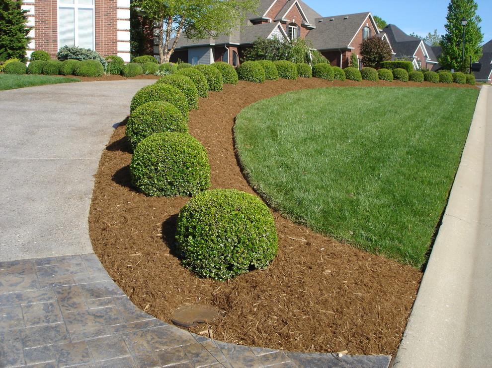 This is an example of a traditional landscaping in Louisville.