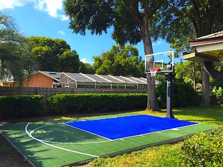 Small Backyard Basketball Court …  Basketball court backyard, Small  backyard landscaping, Small backyard