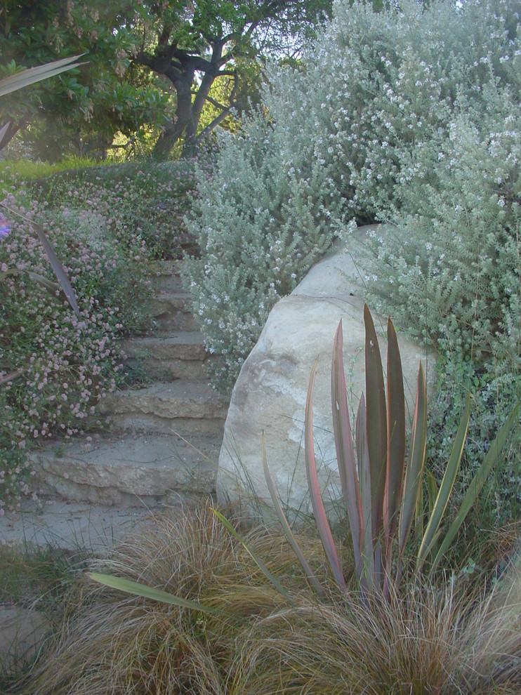 На фото: большой летний засухоустойчивый сад на заднем дворе в средиземноморском стиле с полуденной тенью, садовой дорожкой или калиткой и мульчированием