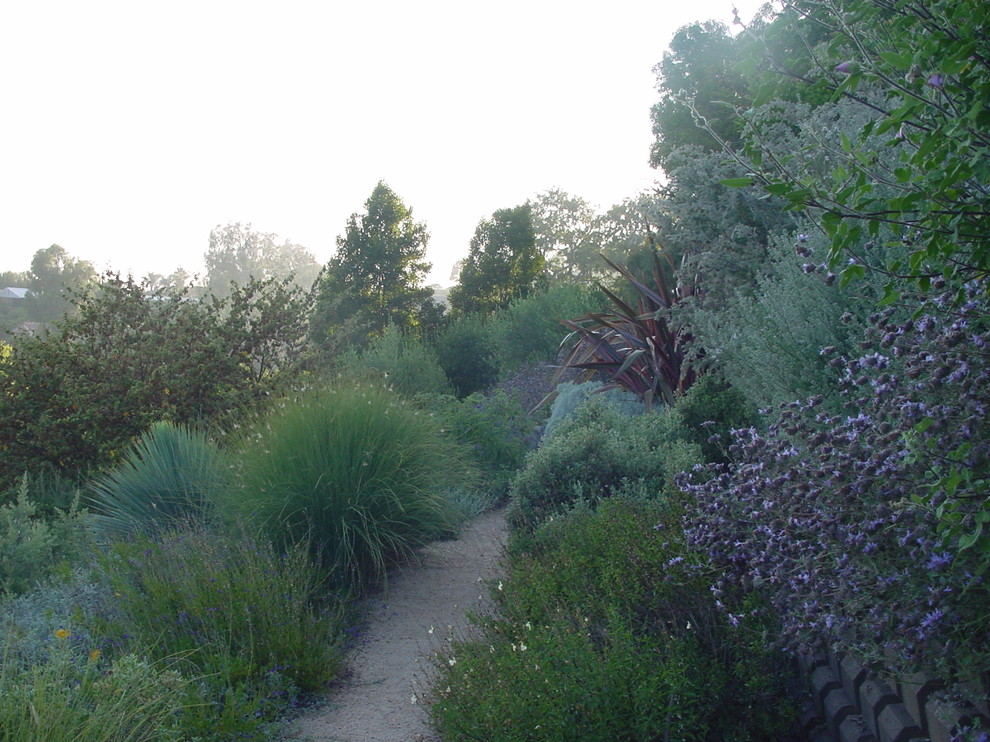 Esempio di un grande giardino xeriscape mediterraneo esposto a mezz'ombra dietro casa in estate con un ingresso o sentiero e pacciame