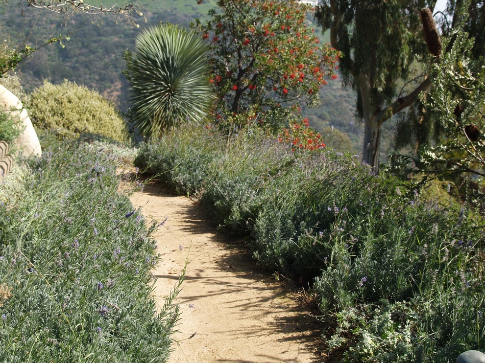 Idee per un grande giardino xeriscape mediterraneo esposto a mezz'ombra dietro casa in estate con un ingresso o sentiero e pacciame