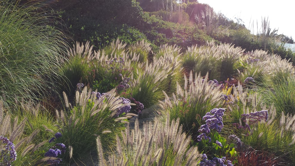 Inspiration for a mid-sized coastal full sun hillside landscaping in Los Angeles.