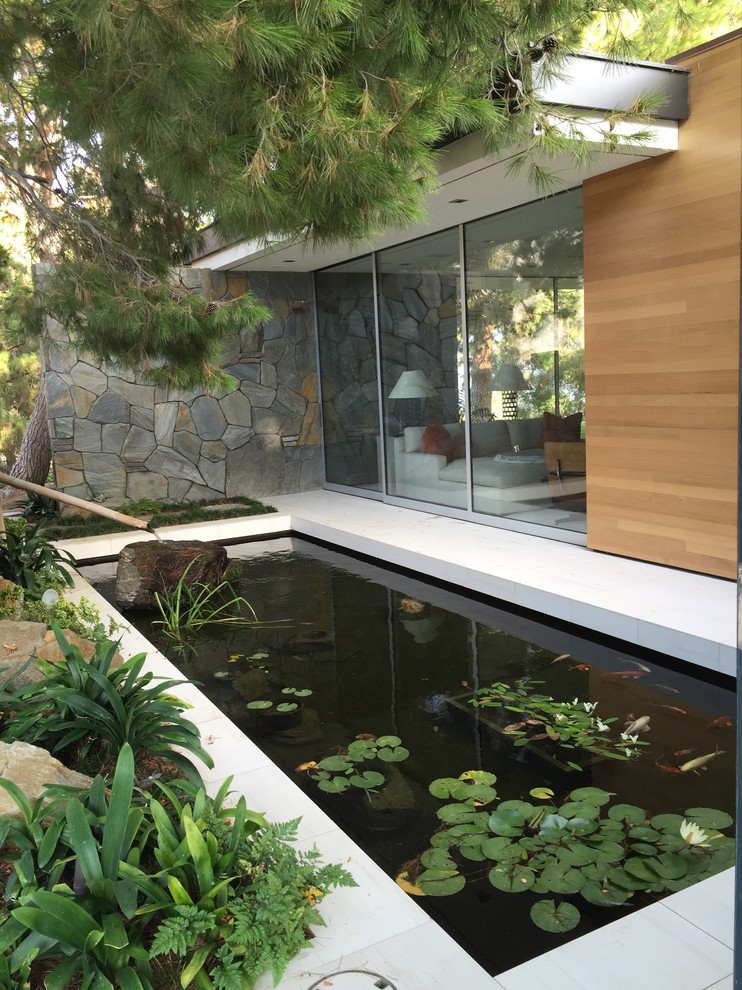 This is an example of a medium sized midcentury side full sun raised pond in Los Angeles with concrete paving.