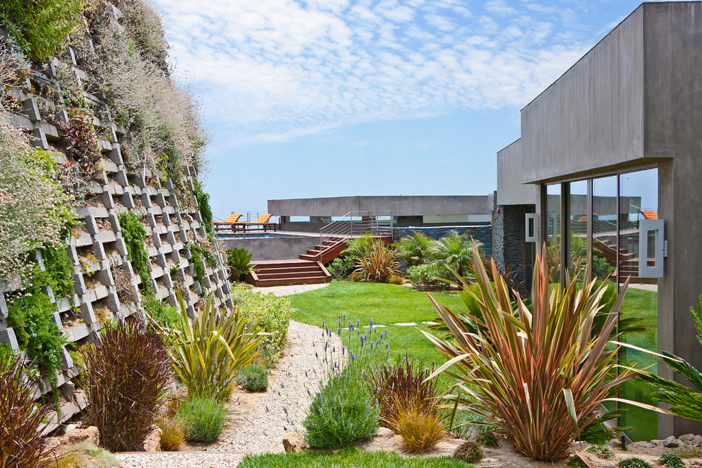 Design ideas for a contemporary garden in Los Angeles with a retaining wall.