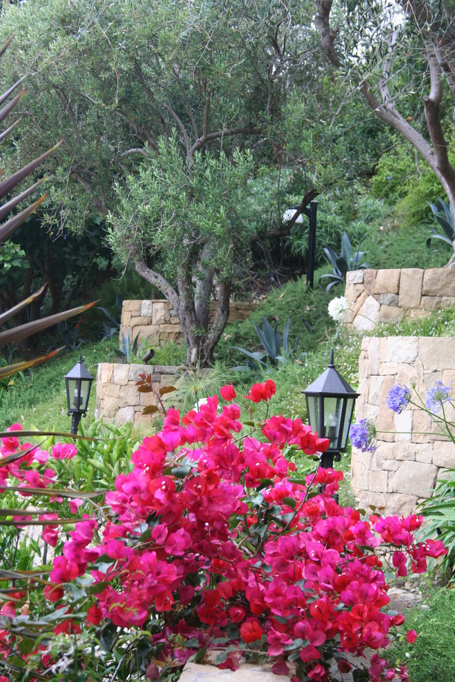 Immagine di un grande giardino xeriscape mediterraneo esposto a mezz'ombra con un muro di contenimento, un pendio, una collina o una riva e pavimentazioni in pietra naturale