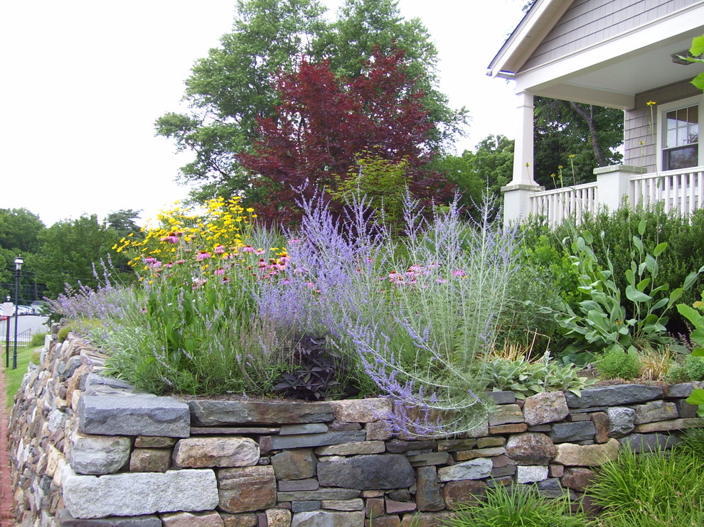 Foto di un giardino stile americano esposto in pieno sole di medie dimensioni e davanti casa in estate