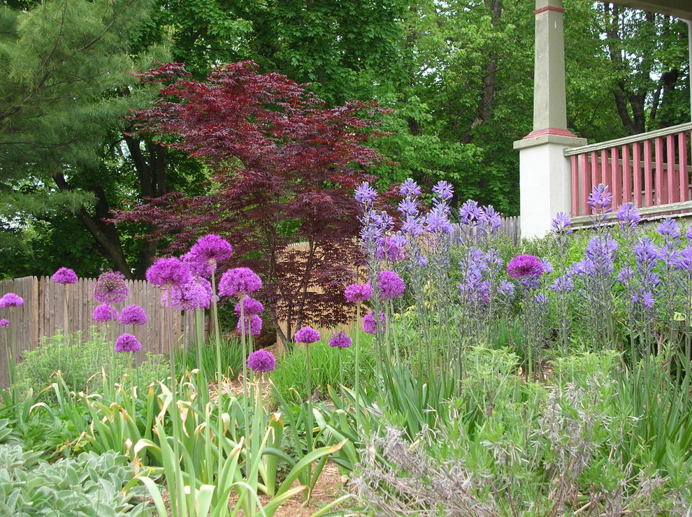 Foto di un piccolo giardino american style esposto in pieno sole davanti casa in primavera con un ingresso o sentiero