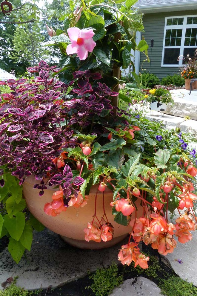 Idee per un piccolo giardino xeriscape chic esposto in pieno sole dietro casa in estate con un giardino in vaso e pavimentazioni in pietra naturale