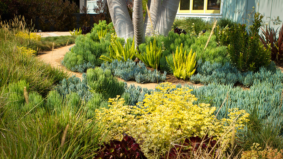 Пример оригинального дизайна: маленький солнечный засухоустойчивый сад на переднем дворе в стиле модернизм с хорошей освещенностью, садовой дорожкой или калиткой и покрытием из гравия для на участке и в саду