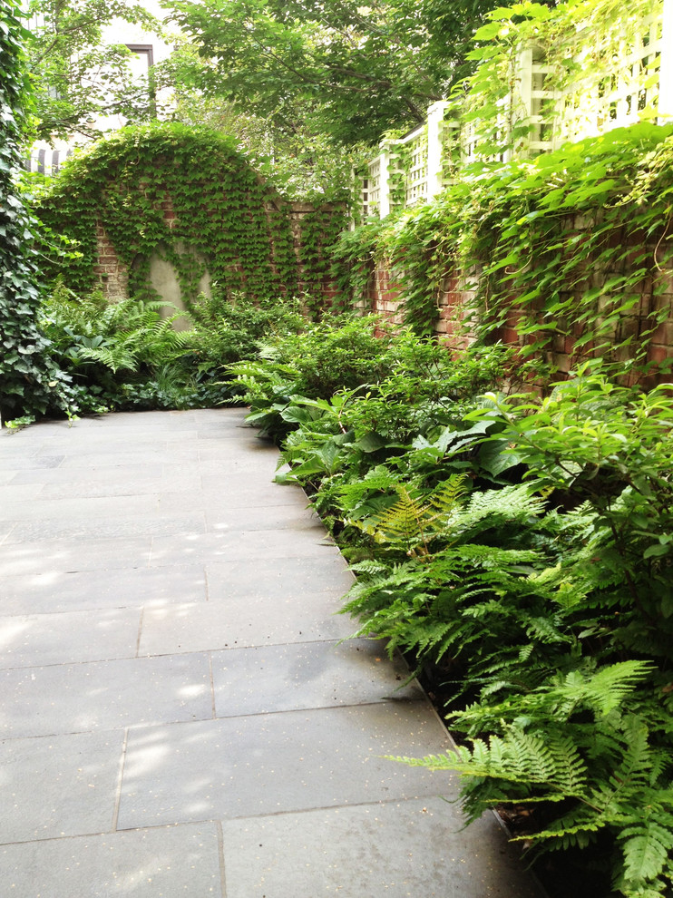 Foto di un piccolo giardino formale minimalista in ombra in cortile in estate con un ingresso o sentiero e pavimentazioni in pietra naturale