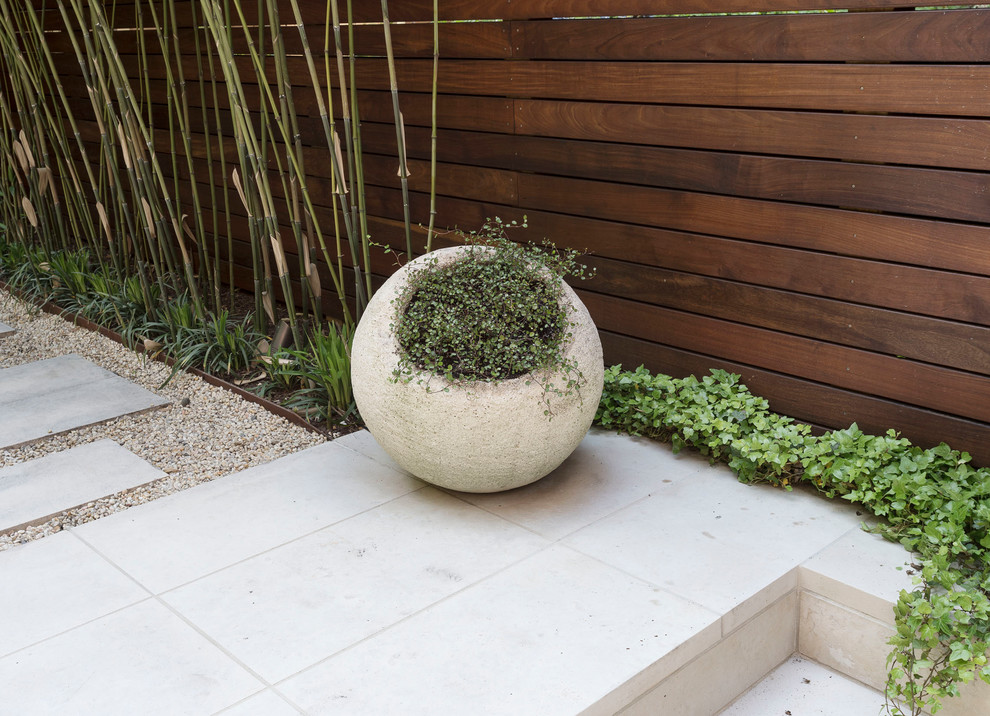 Imagen de camino de jardín moderno pequeño en patio trasero con exposición parcial al sol y adoquines de piedra natural