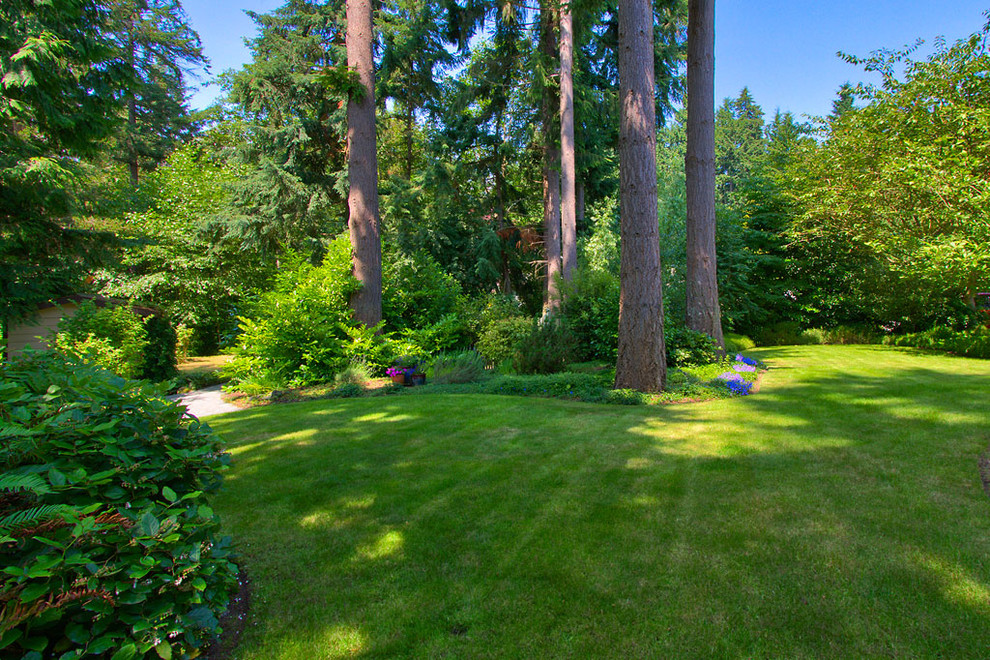 Expansive contemporary side garden in Seattle with a garden path.