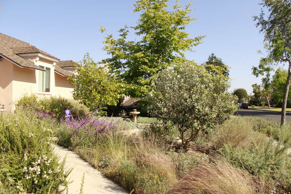 Стильный дизайн: большой солнечный, весенний засухоустойчивый сад на переднем дворе в стиле рустика с хорошей освещенностью - последний тренд