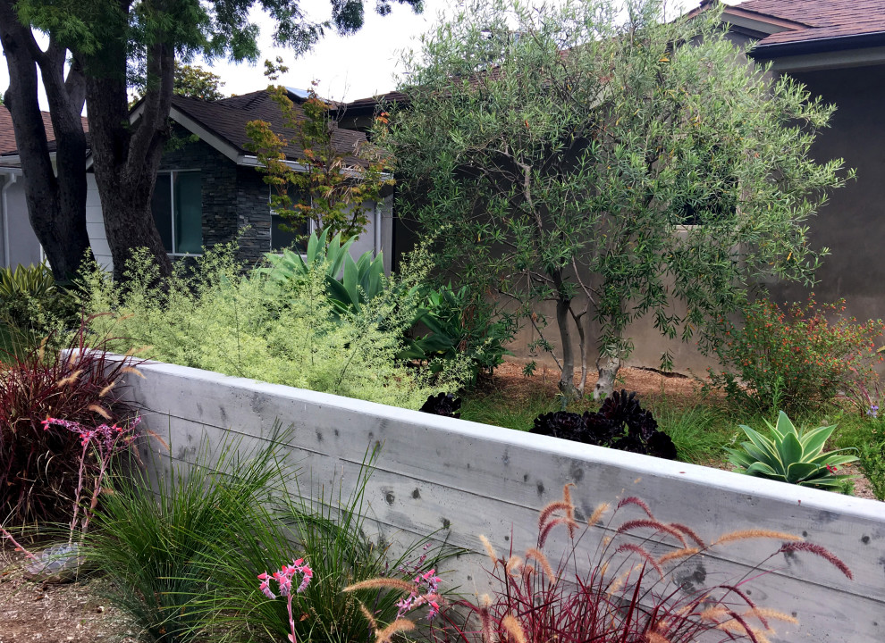 На фото: участок и сад среднего размера на переднем дворе в современном стиле с подъездной дорогой, полуденной тенью и мульчированием с