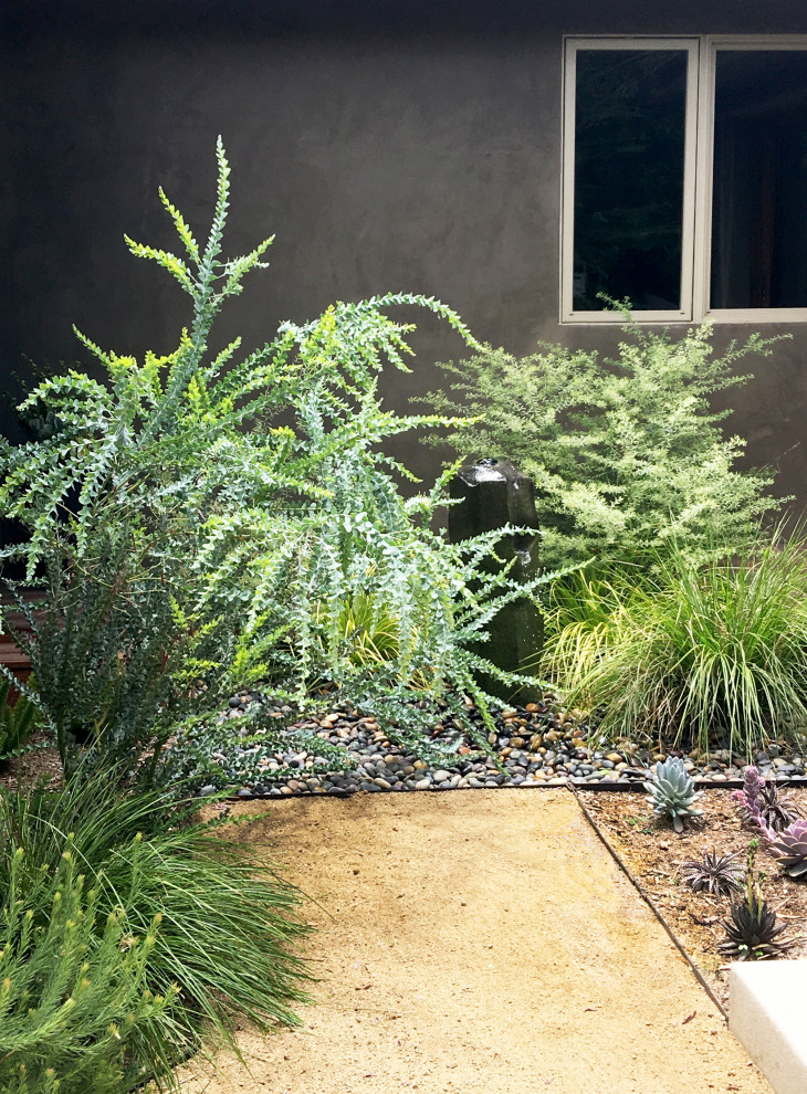 На фото: маленький засухоустойчивый сад на внутреннем дворе в современном стиле с перегородкой для приватности, полуденной тенью и настилом для на участке и в саду