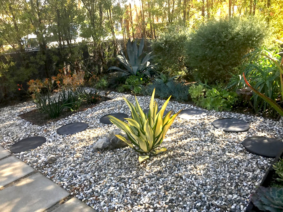 Imagen de jardín de secano contemporáneo pequeño en patio delantero con roca decorativa y piedra decorativa