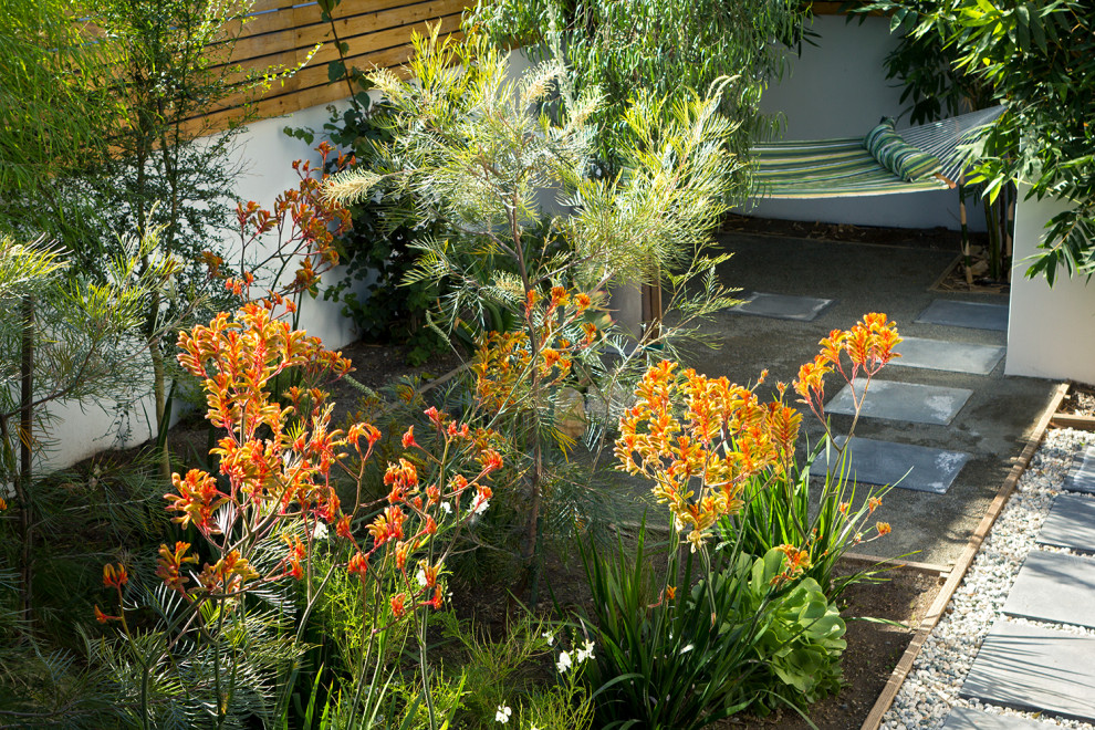 Стильный дизайн: маленький засухоустойчивый сад в современном стиле с мощением тротуарной плиткой для на участке и в саду - последний тренд