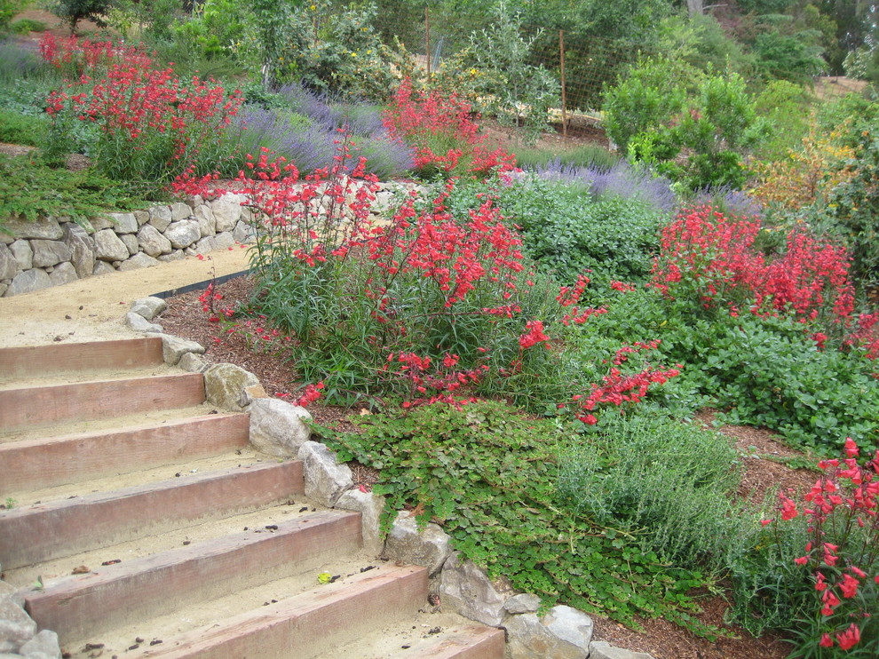 Design ideas for a bohemian garden in Sacramento.
