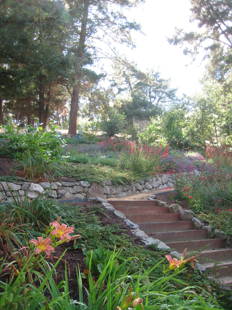 Marcy and Paul's Hillside Garden Traditional Landscape Sacramento