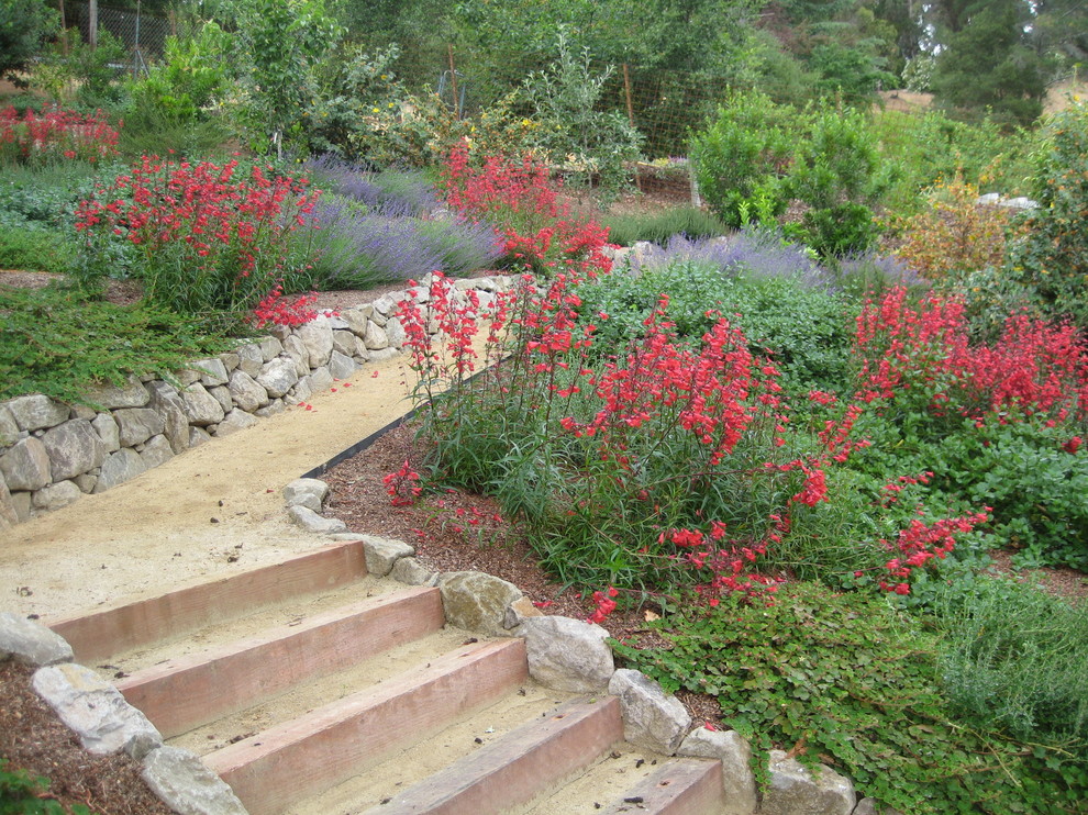 Marcy and Paul's Hillside Garden Landscape Sacramento by Jonathan