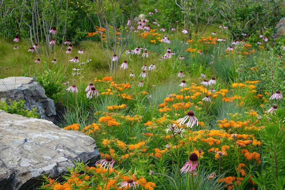 Foto di un giardino chic esposto in pieno sole in estate