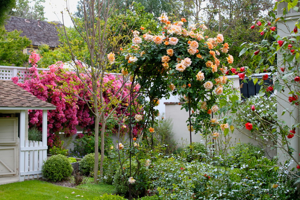 Foto di un giardino mediterraneo dietro casa in estate