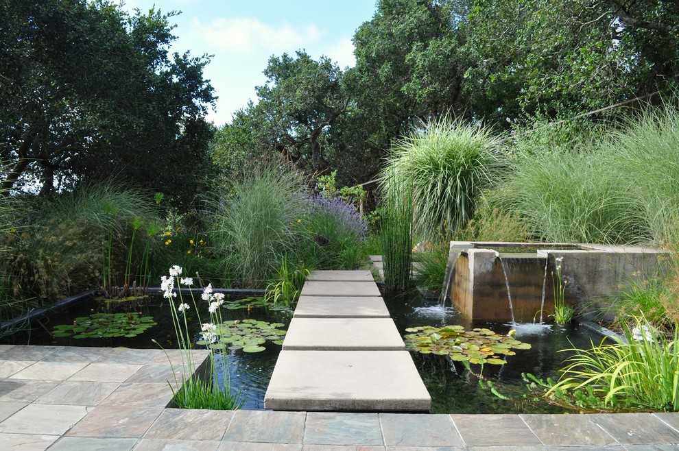Inspiration for a contemporary garden in San Francisco with a water feature.