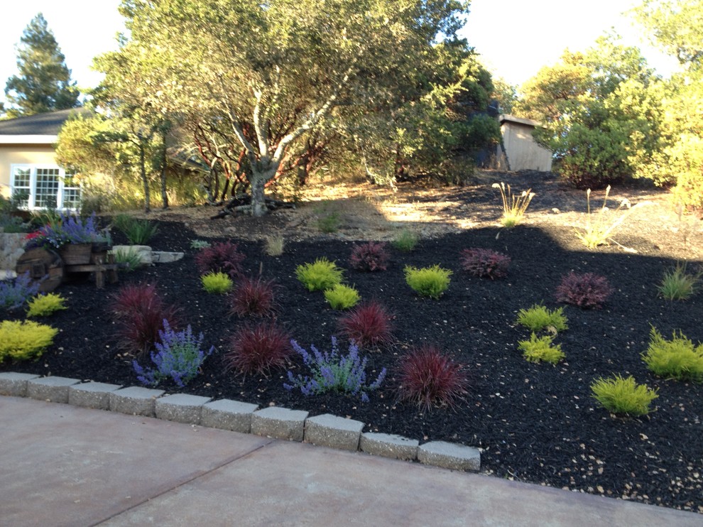 Mark West Springs Estate Traditional Landscape San Francisco by