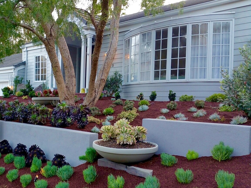 Свежая идея для дизайна: засухоустойчивый сад среднего размера на переднем дворе в классическом стиле с полуденной тенью и мульчированием - отличное фото интерьера