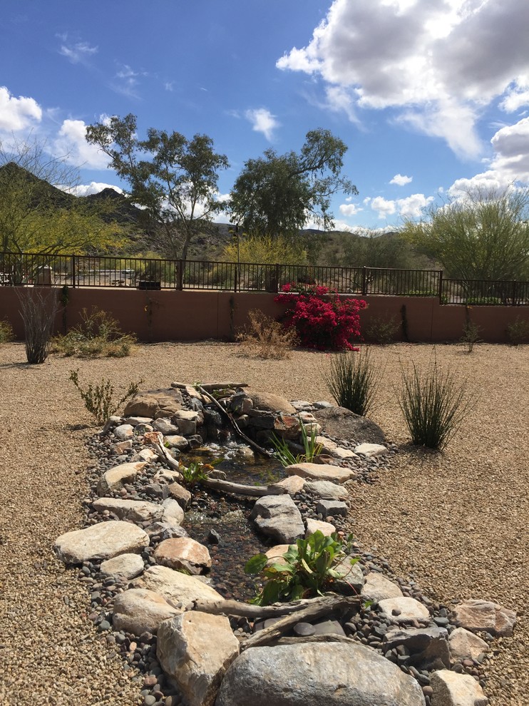 Cette photo montre un petit jardin arrière sud-ouest américain avec un bassin et une exposition ensoleillée.