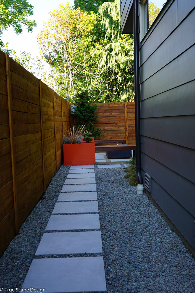 Immagine di un giardino xeriscape moderno in ombra di medie dimensioni e dietro casa