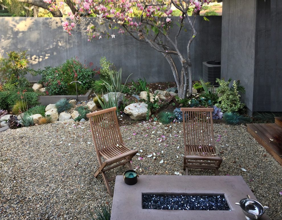 Immagine di un piccolo giardino xeriscape moderno in cortile con ghiaia