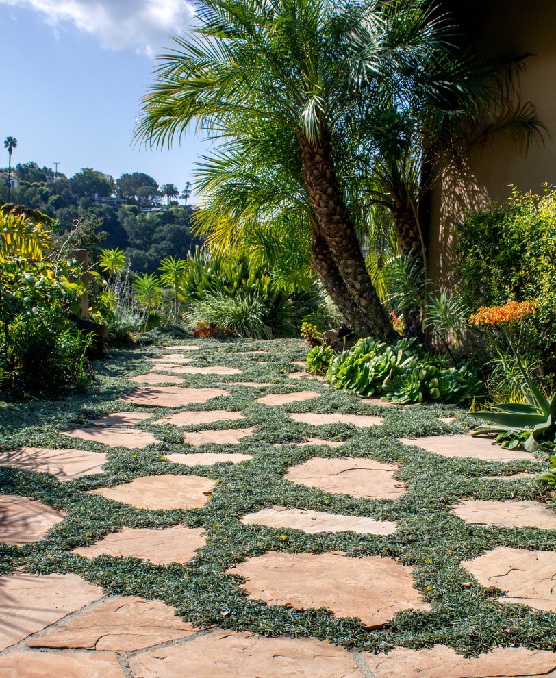 Inspiration för en mellanstor formell trädgård i delvis sol längs med huset på sommaren, med naturstensplattor och en trädgårdsgång