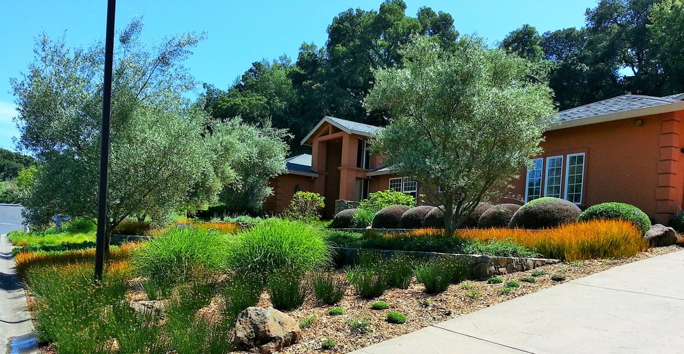 Immagine di un grande giardino formale mediterraneo esposto in pieno sole davanti casa con pavimentazioni in pietra naturale