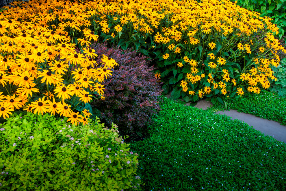 Geräumiger Landhaus Gartenweg im Sommer, hinter dem Haus mit direkter Sonneneinstrahlung und Natursteinplatten in Portland