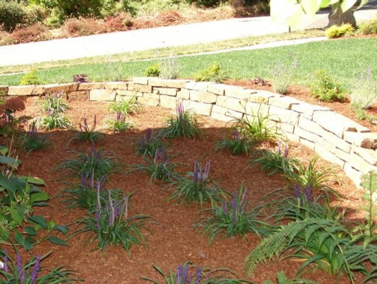 Пример оригинального дизайна: регулярный сад на переднем дворе в классическом стиле с подпорной стенкой и мульчированием