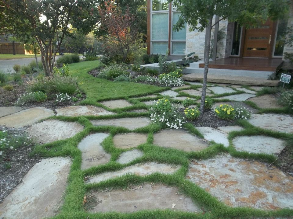 Photo of a modern garden in Dallas.
