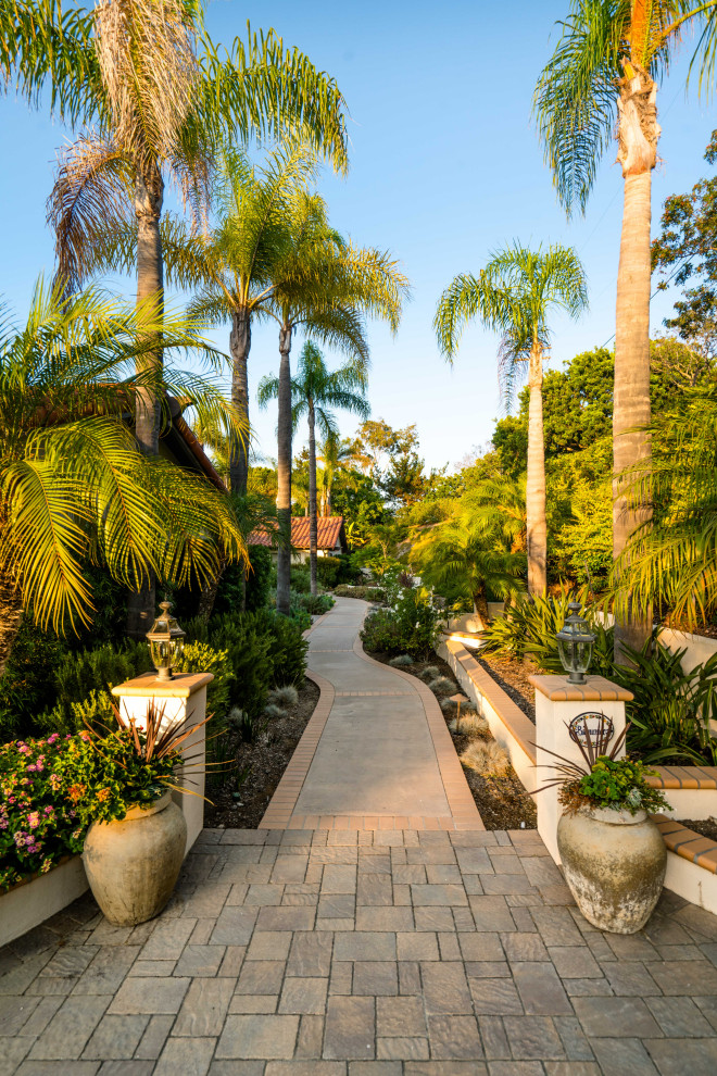 Immagine di un giardino tropicale esposto a mezz'ombra con pavimentazioni in cemento