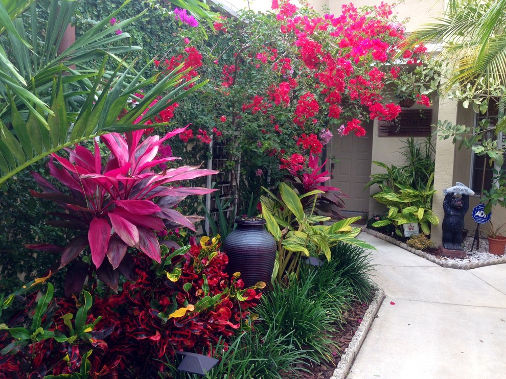 Idee per un piccolo giardino tropicale esposto a mezz'ombra davanti casa con un ingresso o sentiero